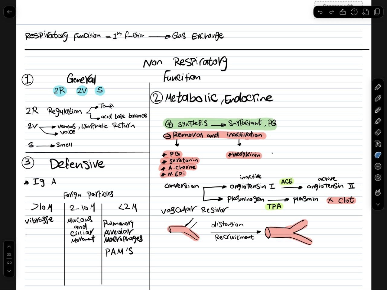 Functions of the respiratory system — handwritten summary